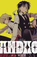 BANDAGE / Бинты