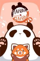 Panda x Red Panda / Панда и красная панда