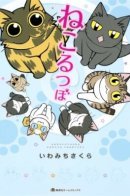 Cat Melting Pot / Кото-плавильня