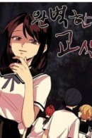 The Perfect Classroom / Идеальный класс