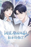 Perfect Contract / Идеальный контракт