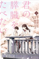 I Want To Eat Your Pancreas / Я хочу съесть твою поджелудочную железу