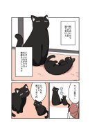 A Story About Black Cats / История о чёрной кошке