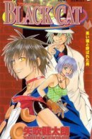 Black Cat / Чёрный кот