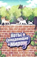 Cats Own the World / Коты, владеющие миром