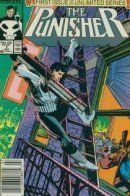 Punisher (Vol 2) / Каратель том 2