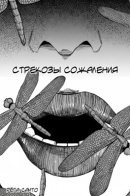 Dragonflies of Regret / Стрекозы сожаления