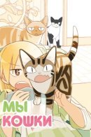 We are Cats / Мы кошки