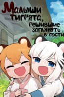 Tiger Coming In / Малыши-тигрята, решившие заглянуть в гости