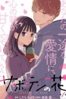 Cactus Flower / Цветок кактуса