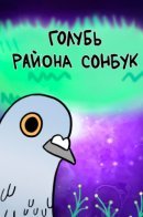 Pigeon Lee Heon-Seo of Seongbuk District / Голубь района Сонбук