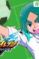 Inazuma Eleven: Victory Road / Инадзума Одиннадцать: Путь героев