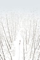 Заячьи следы