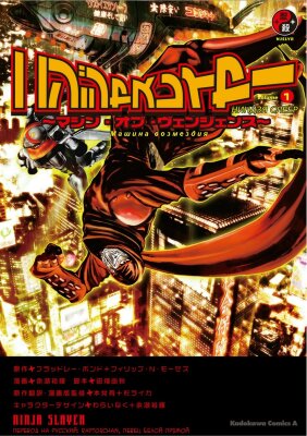 Ниндзя Слеер