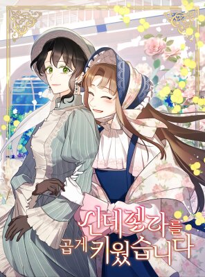 Я воспитала прекрасную Золушку