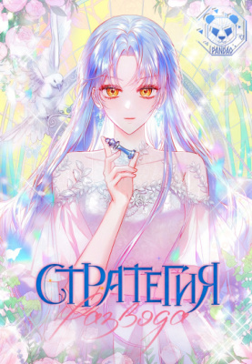 Стратегия развода