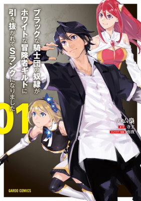 Раб Черных Рыцарей завербован Белой Гильдией в качестве авантюриста ранга S