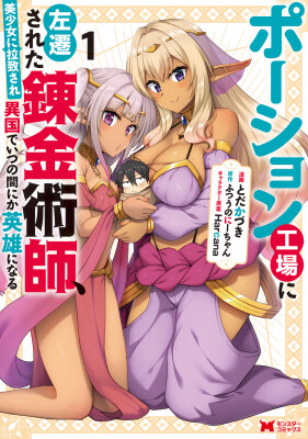 Прекрасные эльфийки похитили меня?! Я стану сильнейшим алхимиком в другой стране!