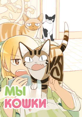 Мы кошки