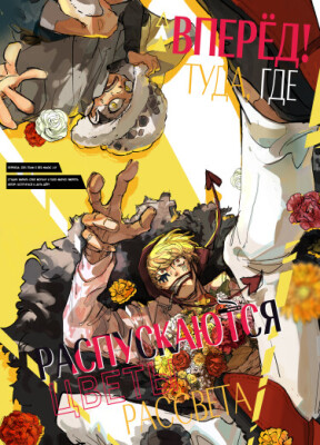 Вперёд! Туда, где распускаются цветы