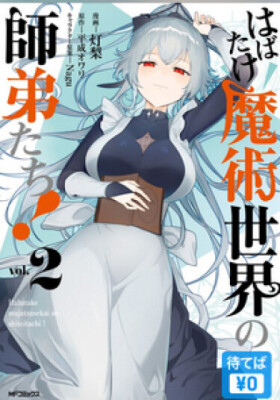 Взлетайте, ученики мира магии!