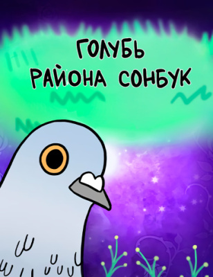 Голубь района Сонбук