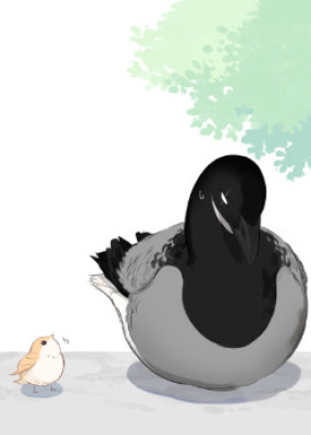 Северная птица, южная птица