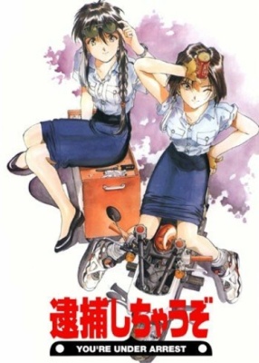 Вы арестованы